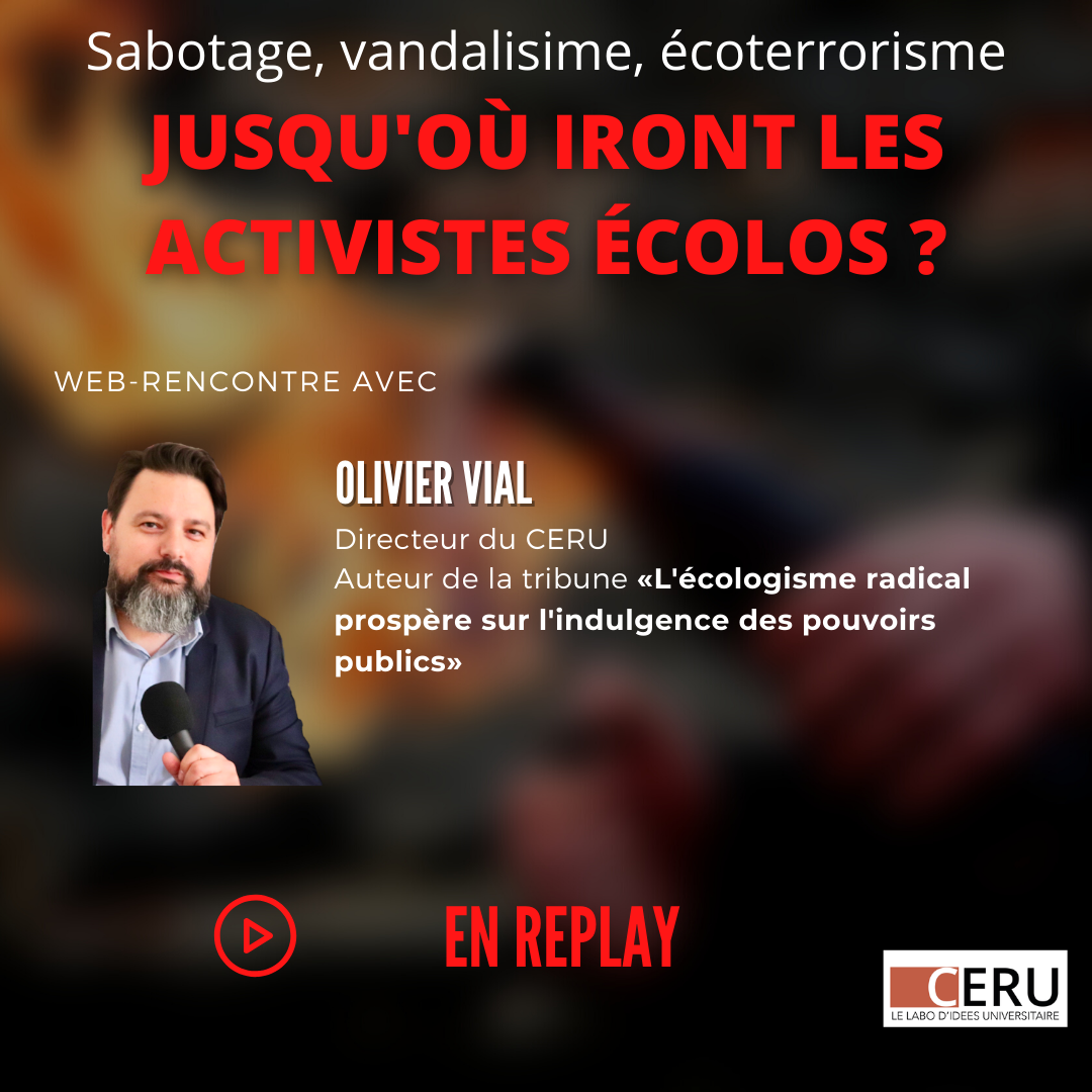 Article lié - Rediffusion | Jusqu’où iront les activistes écolos ? Web-rencontre avec Olivier Vial